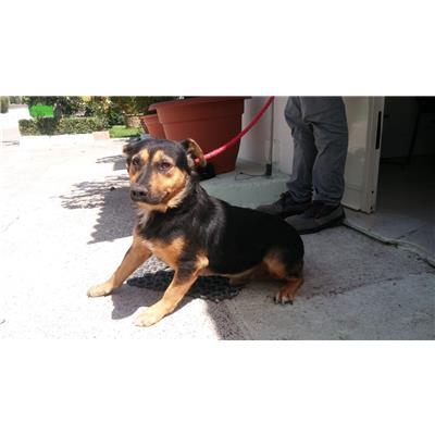 COMUNE DI ROCCABERNARDA - 380260101502275