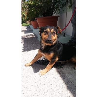 COMUNE DI ROCCABERNARDA - 380260101502275