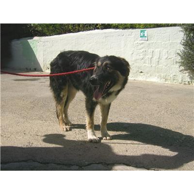 COMUNE DI ISOLA DI CAPO RIZZUTO - 380260101652005