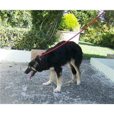 COMUNE DI ISOLA DI CAPO RIZZUTO - 380260101652005